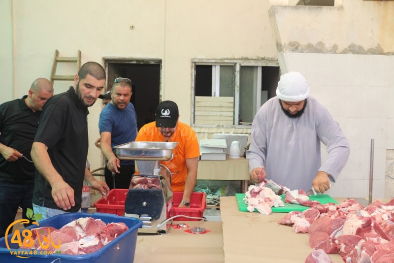 lod8om ada73y (97).JPG